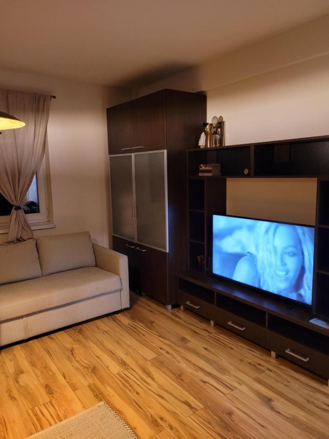 クルージュ＝ナポカApartament Elisseアパートメント エクステリア 写真